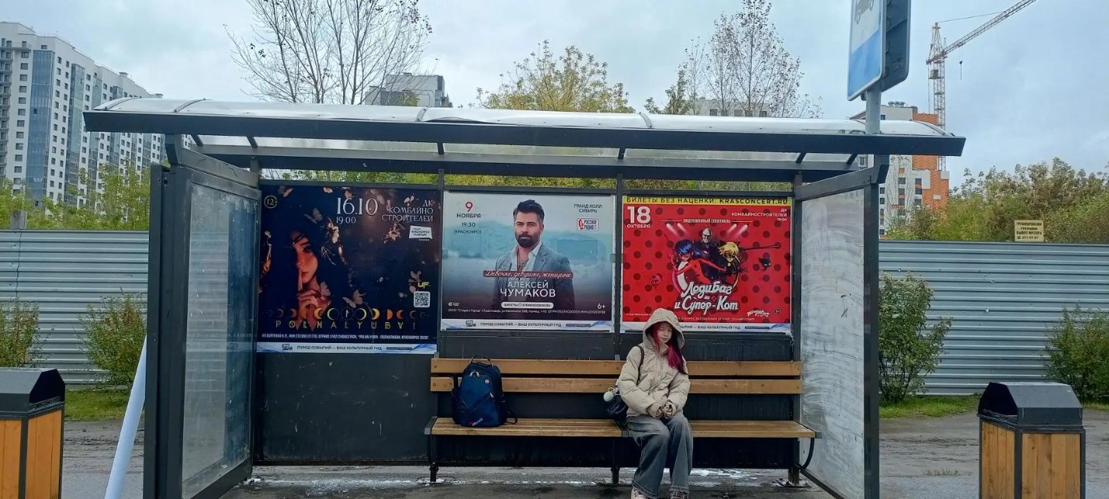Остановка "Микрорайон Тихие зори" (слева), Красноярск, ул. Лесников, 29 (слева)